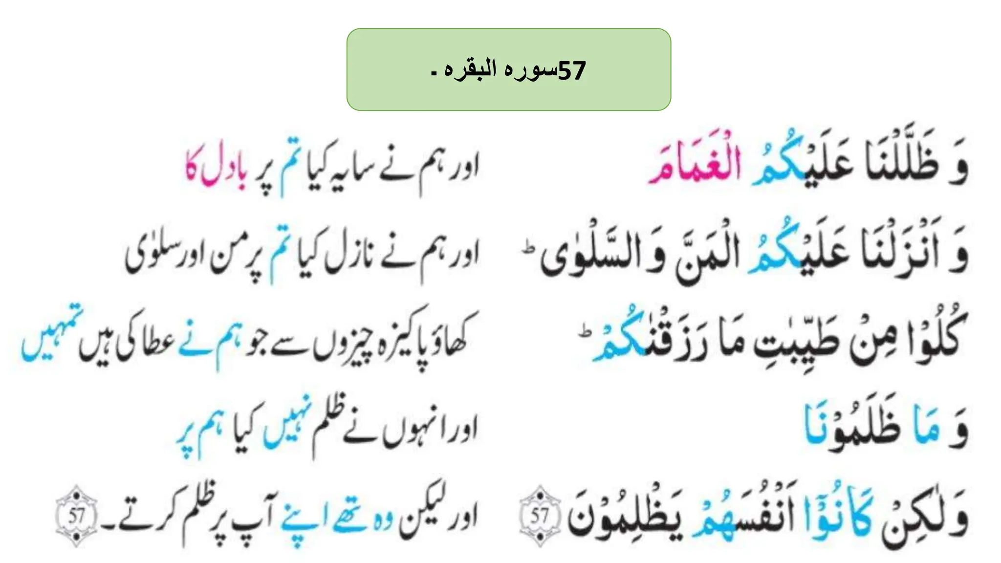 ‫سورہ‬
‫البقرہ‬
‫۔‬ 57
 