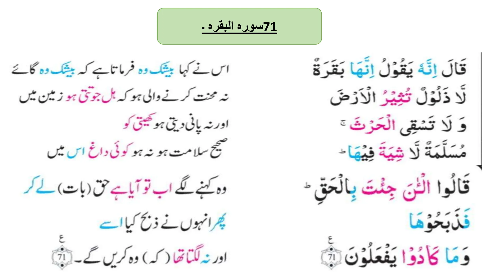 ‫سورہ‬
‫البقرہ‬
‫۔‬ 71
 