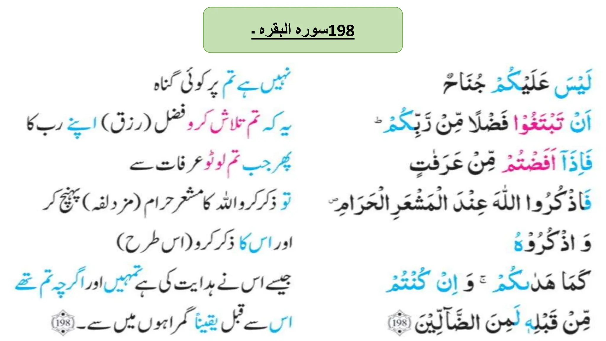 ‫سورہ‬
‫البقرہ‬
‫۔‬ 198
 