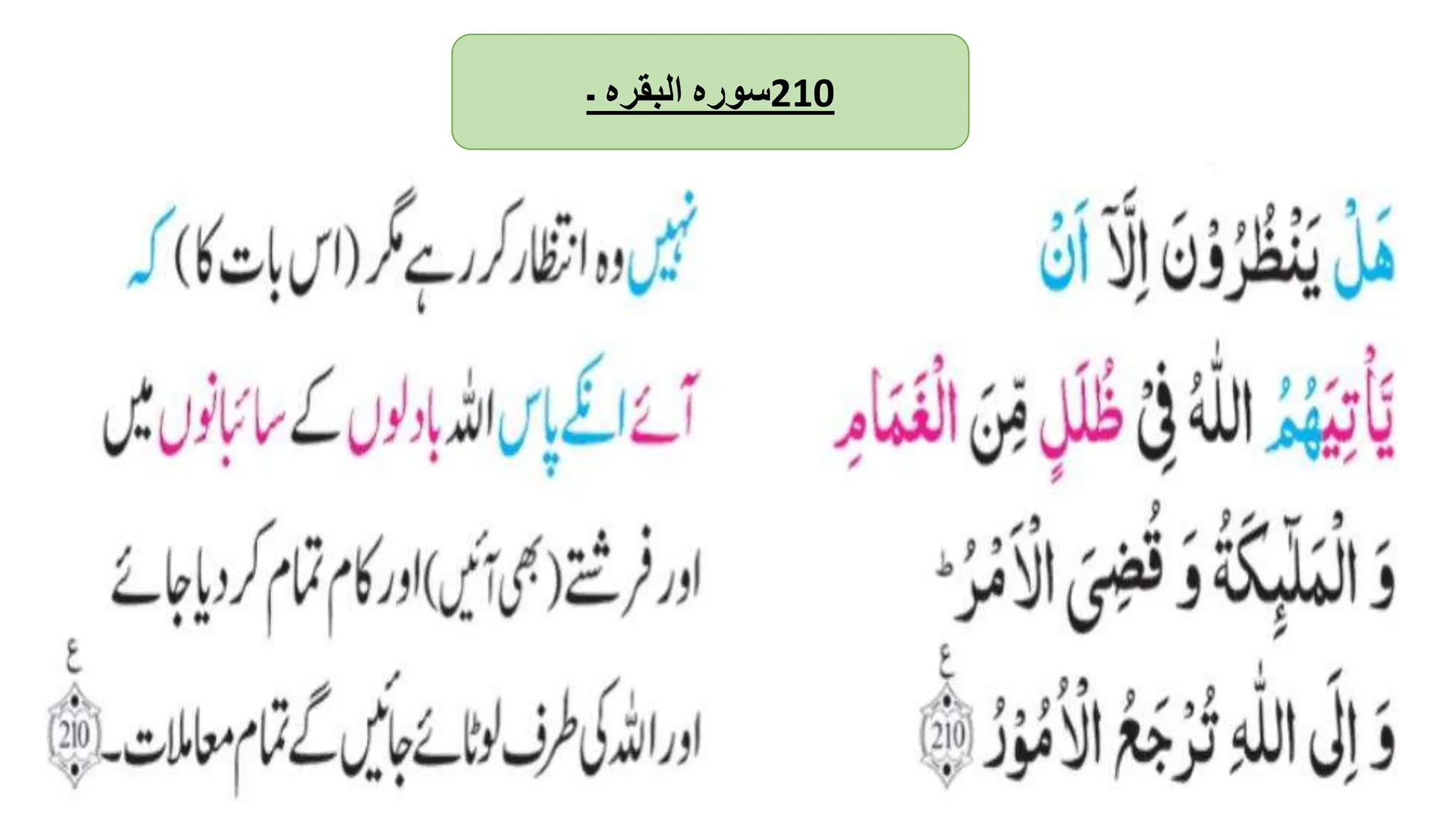 ‫سورہ‬
‫البقرہ‬
‫۔‬ 210
 