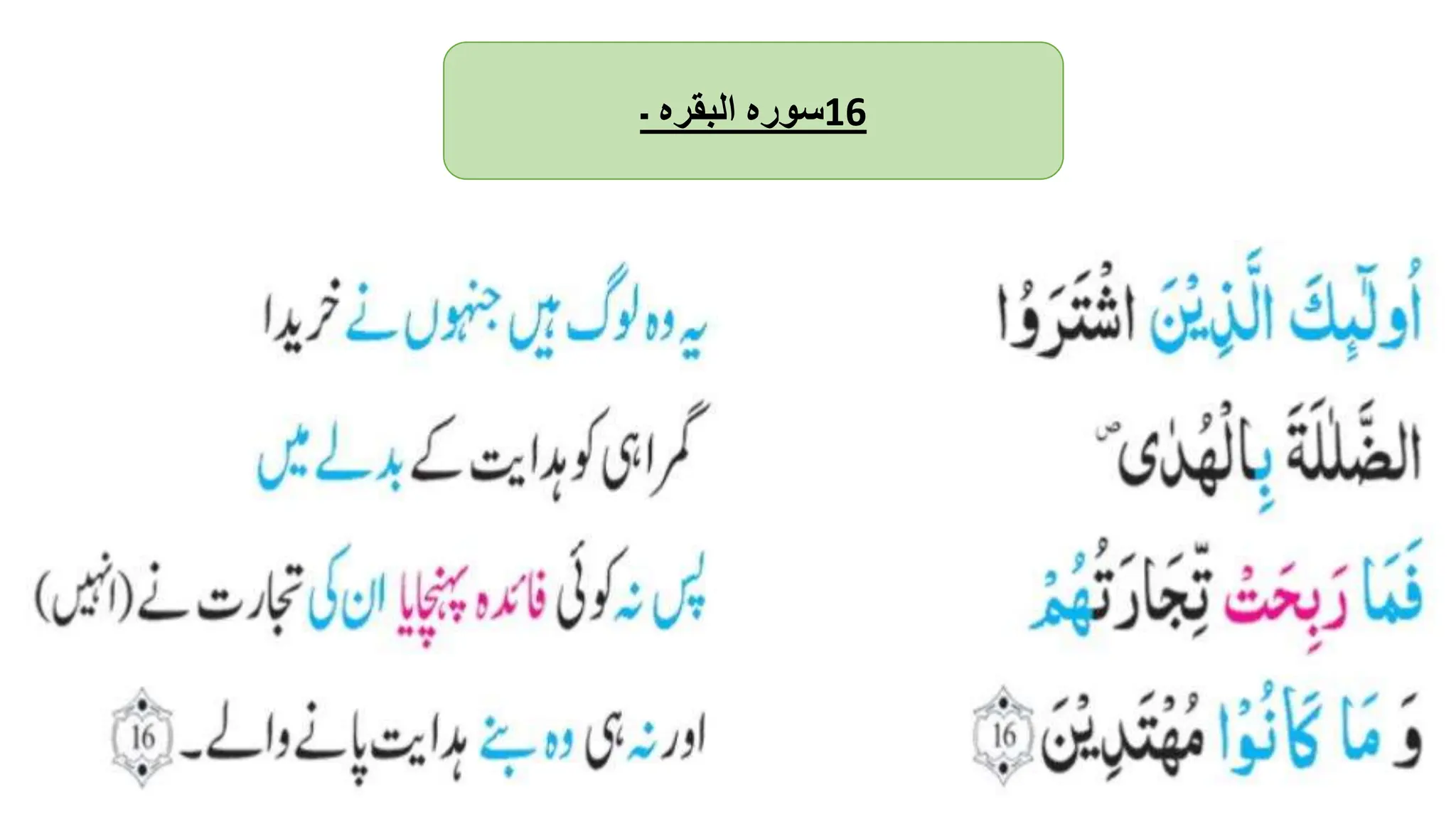 ‫سورہ‬
‫البقرہ‬
‫۔‬ 16
 
