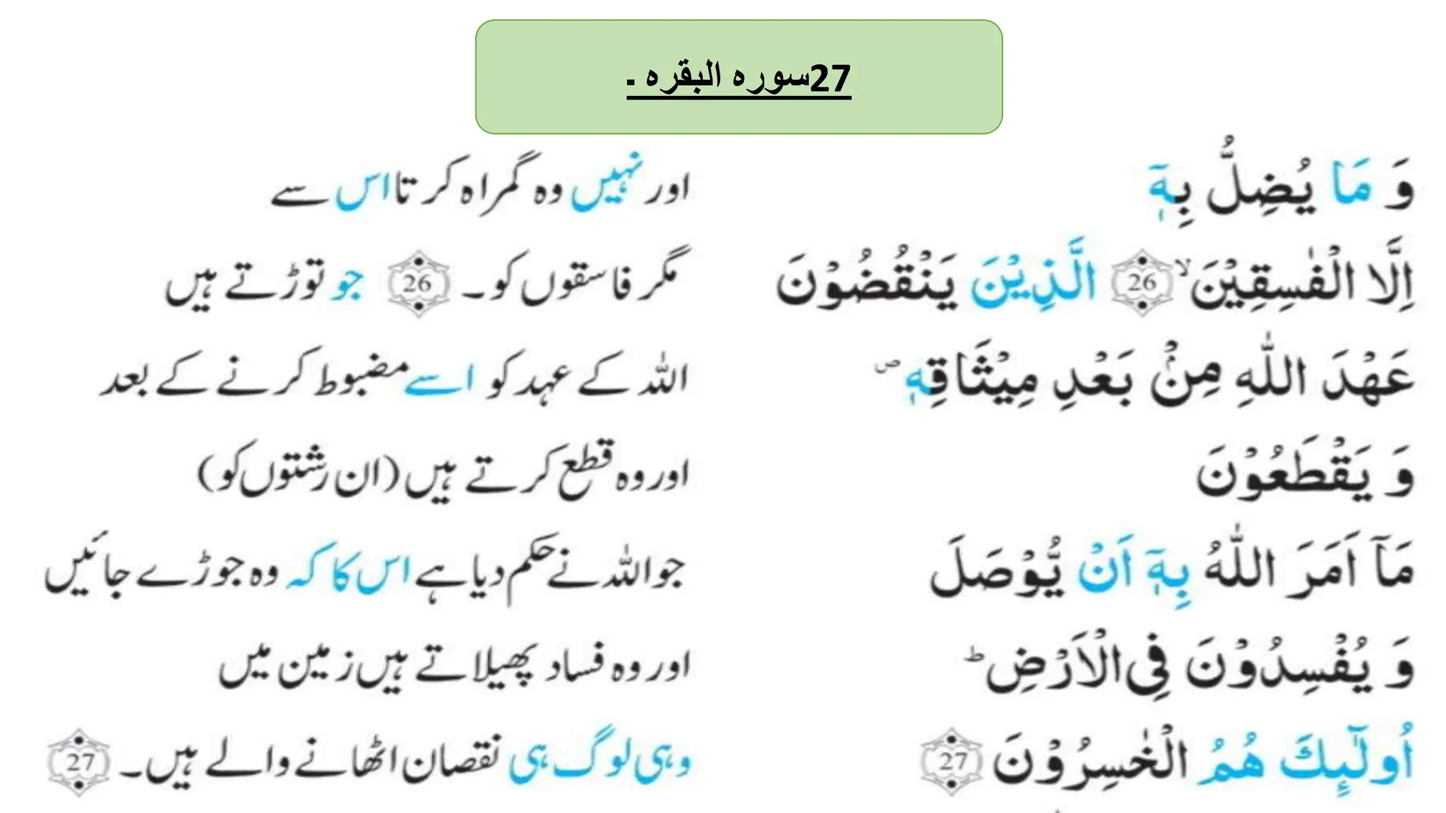 ‫سورہ‬
‫البقرہ‬
‫۔‬ 27
 