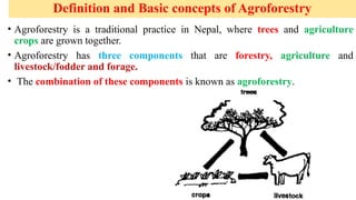 Lecture 1. Concept of agroforestry Importance and Scope.pptx
