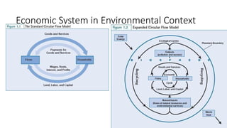 Economic System in Environmental Context
 