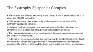 Lecture 1. inro and anomalies.of the urinary system | PPTX