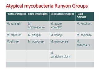 Atypical mycobacteria Runyon Groups
 