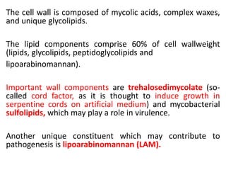 The cell wall is composed of mycolic acids, complex waxes,
and unique glycolipids.
The lipid components comprise 60% of cell wallweight
(lipids, glycolipids, peptidoglycolipids and
lipoarabinomannan).
Important wall components are trehalosedimycolate (so-
called cord factor, as it is thought to induce growth in
serpentine cords on artificial medium) and mycobacterial
sulfolipids, which may play a role in virulence.
Another unique constituent which may contribute to
pathogenesis is lipoarabinomannan (LAM).
 