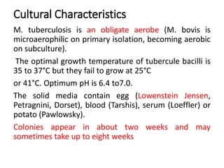 Cultural Characteristics
M. tuberculosis is an obligate aerobe (M. bovis is
microaerophilic on primary isolation, becoming aerobic
on subculture).
The optimal growth temperature of tubercule bacilli is
35 to 37°C but they fail to grow at 25°C
or 41°C. Optimum pH is 6.4 to7.0.
The solid media contain egg (Lowenstein Jensen,
Petragnini, Dorset), blood (Tarshis), serum (Loeffler) or
potato (Pawlowsky).
Colonies appear in about two weeks and may
sometimes take up to eight weeks
 