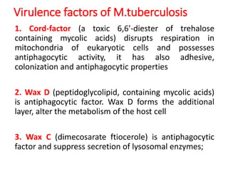 Virulence factors of M.tuberculosis
1. Cord-factor (a toxic 6,6'-diester of trehalose
containing mycolic acids) disrupts respiration in
mitochondria of eukaryotic cells and possesses
antiphagocytic activity, it has also adhesive,
colonization and antiphagocytic properties
2. Wax D (peptidoglycolipid, containing mycolic acids)
is antiphagocytic factor. Wax D forms the additional
layer, alter the metabolism of the host cell
3. Wax С (dimecosarate ftiocerole) is antiphagocytic
factor and suppress secretion of lysosomal enzymes;
 