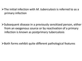 ➢The initial infection with M. tuberculosis is referred to as a
primary infection
➢Subsequent disease in a previously sensitized person, either
from an exogenous source or by reactivation of a primary
infection is known as postprimary tuberculosis
➢Both forms exhibit quite different pathological features
 