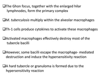 ❑The Ghon focus, together with the enlarged hilar
lymphnodes, form the primary complex
❑M. tuberculosis multiply within the alveolar macrophages
❑Th-1 cells produce cytokines to activate these macrophages
❑Activated macrophages effectively destroy most of the
tubercle bacilli
❑However, some bacilli escape the macrophage- mediated
destruction and induce the hypersensitivity reaction
❑A hard tubercle or granuloma is formed due to the
hypersensitivity reaction
 