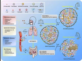 nterferon-γ release assays
 