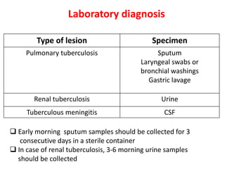 Laboratory diagnosis
❑ Early morning sputum samples should be collected for 3
consecutive days in a sterile container
❑ In case of renal tuberculosis, 3-6 morning urine samples
should be collected
Type of lesion Specimen
Pulmonary tuberculosis Sputum
Laryngeal swabs or
bronchial washings
Gastric lavage
Renal tuberculosis Urine
Tuberculous meningitis CSF
 