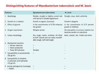 Distinguishing features of Mycobacterium tuberculosis and M. bovis
 