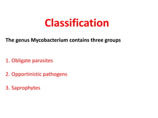 Classification
The genus Mycobacterium contains three groups
1. Obligate parasites
2. Opportinistic pathogens
3. Saprophytes
 