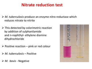 Nitrate reduction test
➢ M. tuberculosis produce an enzyme nitro reductase which
reduces nitrate to nitrite
➢ This detected by colorimetric reaction
by addition of sulphanilamide
and n-naphthyl- ethylene diamine
dihydrochloride
➢ Positive reaction – pink or red colour
➢ M. tuberculosis – Positive
➢ M. bovis - Negative
 