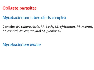 Obligate parasites
Mycobacterium tuberculosis complex
Contains M. tuberculosis, M. bovis, M. africanum, M. microti,
M. canetti, M. caprae and M. pinnipedii
Mycobacterium leprae
 