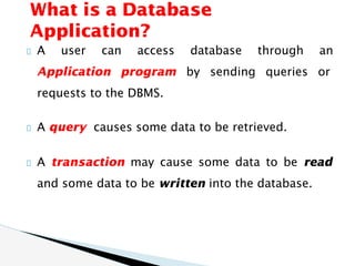 Introduction to Database Systems (detailed) | PDF
