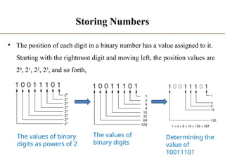 Introduction to Foundation of Computing Lecture 1.pptx
