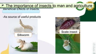 Principles of Entomology Lecture 1.pptx