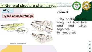 Principles of Entomology Lecture 1.pptx