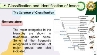 Principles of Entomology Lecture 1.pptx