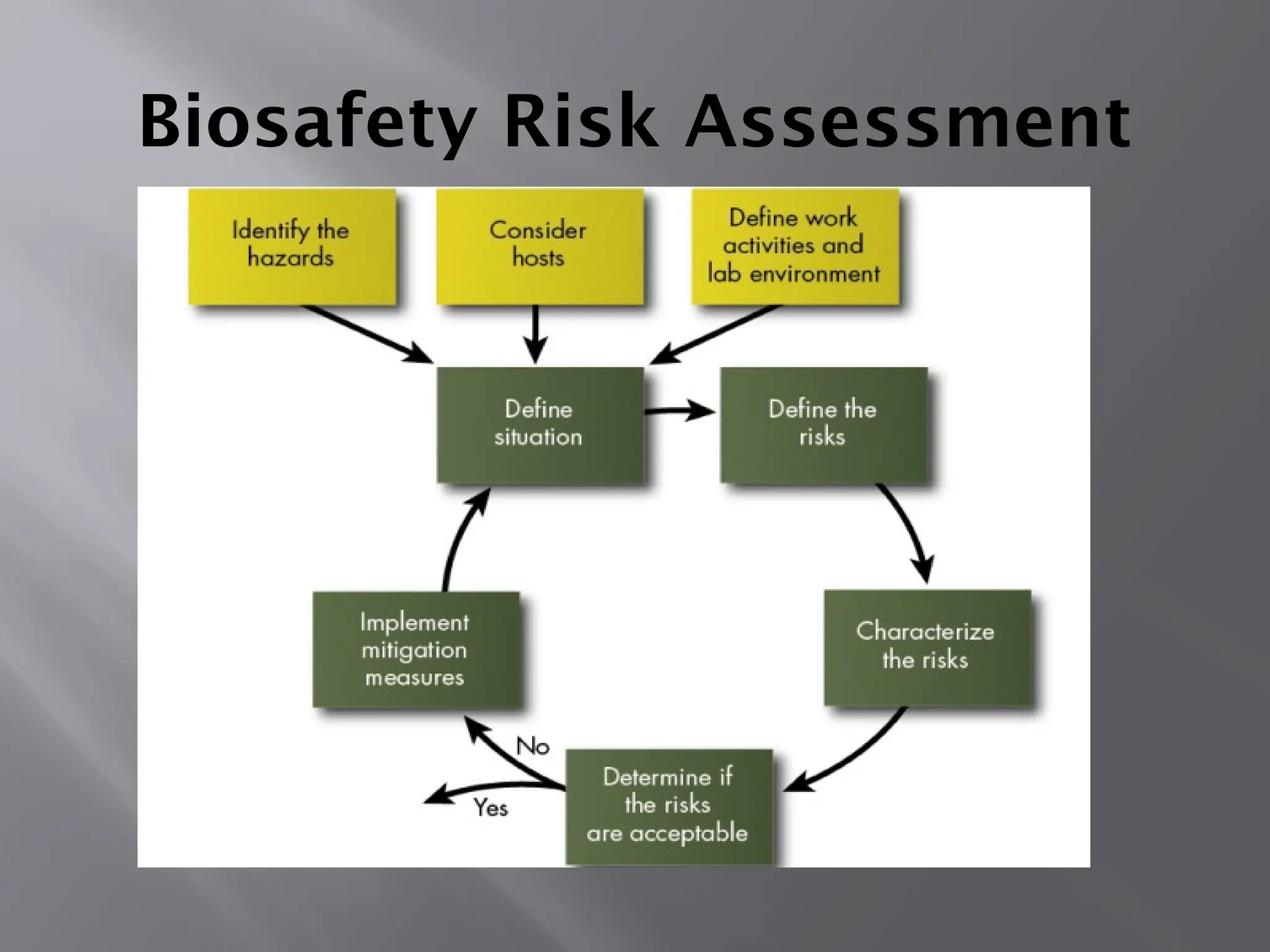 Biosafety Risk Assessment
 