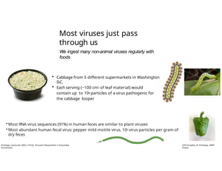 What is a virus? Lecture by Prof. Vincent Racaniello • Columbia ...