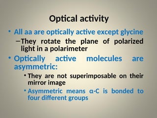 lecture1-Aminocyfcxyrxxxxfxfxff Acids.ppt