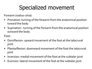 LECTURE1 -Anatomy_of_Musculoskeletal_System.ppt