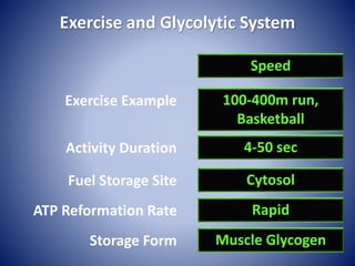 Exercise and Glycolytic System
Speed
Exercise Example 100-400m run,
Basketball
Fuel Storage Site Cytosol
ATP Reformation Rate Rapid
Storage Form Muscle Glycogen
Activity Duration 4-50 sec
 