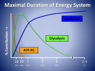 Maximal Duration of Energy System
30
sec
1
min
3
min
5
min
2-3
hr
%Contribution
ATP-PC
Glycolysis
Oxidative
10
sec
 