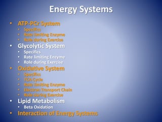 Energy Systems
• ATP-PCr System
• Specifics
• Rate limiting Enzyme
• Role during Exercise
• Glycolytic System
• Specifics
• Rate limiting Enzyme
• Role during Exercise
• Oxidative System
• Specifics
• TCA Cycle
• Rate limiting Enzyme
• Electron Transport Chain
• Role during Exercise
• Lipid Metabolism
• Beta Oxidation
• Interaction of Energy Systems
 