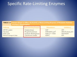 Specific Rate-Limiting Enzymes
 