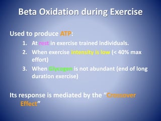 Beta Oxidation during Exercise
Used to produce ATP:
1. At rest in exercise trained individuals.
2. When exercise intensity is low (< 40% max
effort)
3. When Glycogen is not abundant (end of long
duration exercise)
Its response is mediated by the “Crossover
Effect”
 