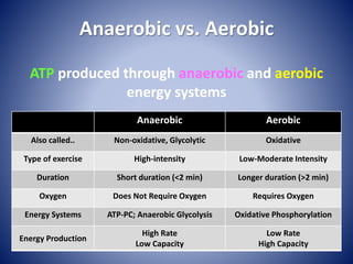 Anaerobic vs. Aerobic
ATP produced through anaerobic and aerobic
energy systems
Anaerobic Aerobic
Also called.. Non-oxidative, Glycolytic Oxidative
Type of exercise High-intensity Low-Moderate Intensity
Duration Short duration (<2 min) Longer duration (>2 min)
Oxygen Does Not Require Oxygen Requires Oxygen
Energy Systems ATP-PC; Anaerobic Glycolysis Oxidative Phosphorylation
Energy Production
High Rate
Low Capacity
Low Rate
High Capacity
 