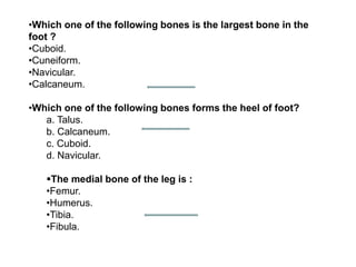 •Which one of the following bones is the largest bone in the
foot ?
•Cuboid.
•Cuneiform.
•Navicular.
•Calcaneum.
•Which one of the following bones forms the heel of foot?
a. Talus.
b. Calcaneum.
c. Cuboid.
d. Navicular.
The medial bone of the leg is :
•Femur.
•Humerus.
•Tibia.
•Fibula.
 