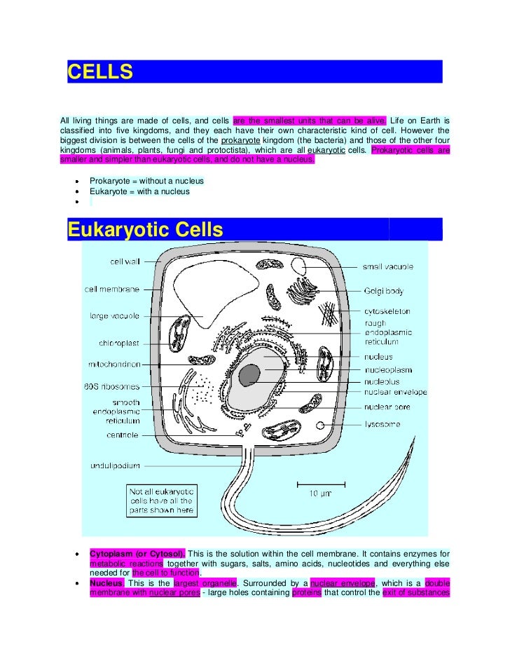 questions on cell membrane transport mechanisms Read online now cell membrane transport mechanisms exercise 4 answers ebook pdf at our library get cell membrane transport mechanisms exercise 4 answers pdf file for free from our online. questions on cell membrane transport mechanisms Read online now cell membrane transport mechanisms exercise 4 answers ebook pdf at our library get cell membrane transport mechanisms exercise 4 answers pdf file for free from our online.