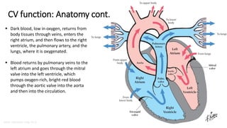 Lect1 CVS Function, Regulation of Heart and Overview of Therapeutic ...