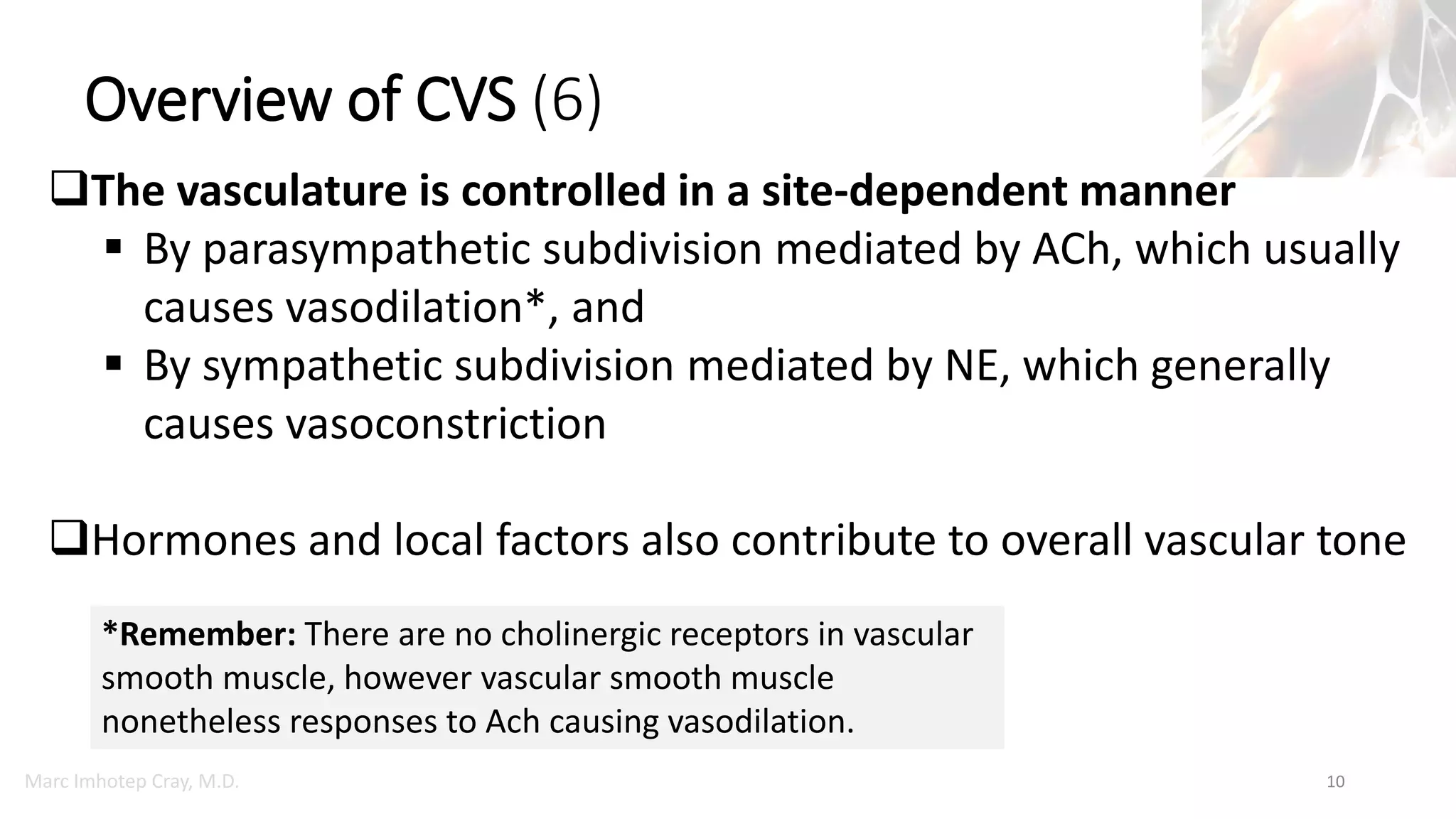 Marc Imhotep Cray, M.D.
Overview of CVS (6)
10
The vasculature is controlled in a site-dependent manner
 By parasympathetic subdivision mediated by ACh, which usually
causes vasodilation*, and
 By sympathetic subdivision mediated by NE, which generally
causes vasoconstriction
Hormones and local factors also contribute to overall vascular tone
*Remember: There are no cholinergic receptors in vascular
smooth muscle, however vascular smooth muscle
nonetheless responses to Ach causing vasodilation.
 