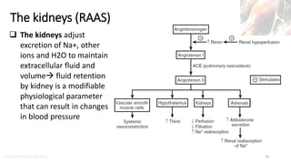 CVS Function, Regulation of the Heart and Overview of Therapeutic Goals ...