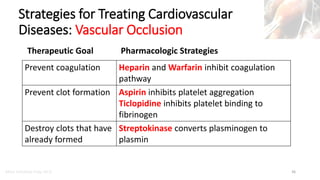 CVS Function, Regulation of the Heart and Overview of Therapeutic Goals ...