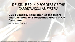 DRUGS USED IN DISORDERS OF THE
CARDIOVASCULAR SYSTEM
CVS Function, Regulation of the Heart
and Overview of Therapeutic Goa...