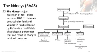 Marc Imhotep Cray, M.D.
The kidneys (RAAS)
20
 The kidneys adjust
excretion of Na+, other
ions and H2O to maintain
extrac...