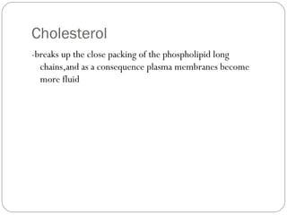 Cholesterol
-breaks up the close packing of the phospholipid long
chains,and as a consequence plasma membranes become
more fluid

 