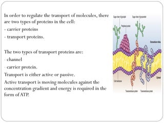 In order to regulate the transport of molecules, there
are two types of proteins in the cell:
- carrier proteins
- transport proteins.
The two types of transport proteins are:
- channel
- carrier protein.
Transport is either active or passive.
Active transport is moving molecules against the
concentration gradient and energy is required in the
form of ATP.

 