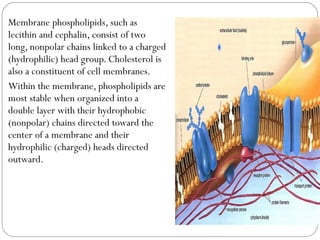 Membrane phospholipids, such as
lecithin and cephalin, consist of two
long, nonpolar chains linked to a charged
(hydrophilic) head group. Cholesterol is
also a constituent of cell membranes.
Within the membrane, phospholipids are
most stable when organized into a
double layer with their hydrophobic
(nonpolar) chains directed toward the
center of a membrane and their
hydrophilic (charged) heads directed
outward.

 