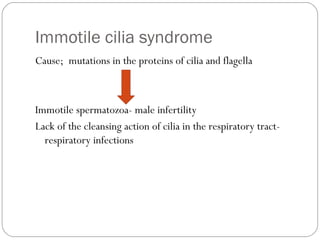 Immotile cilia syndrome
Cause; mutations in the proteins of cilia and flagella

Immotile spermatozoa- male infertility
Lack of the cleansing action of cilia in the respiratory tractrespiratory infections

 