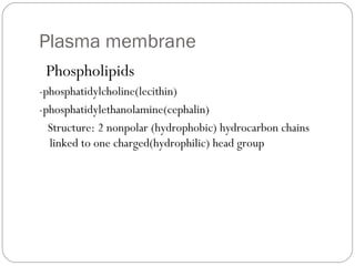 Plasma membrane
Phospholipids
-phosphatidylcholine(lecithin)
-phosphatidylethanolamine(cephalin)
Structure: 2 nonpolar (hydrophobic) hydrocarbon chains
linked to one charged(hydrophilic) head group

 