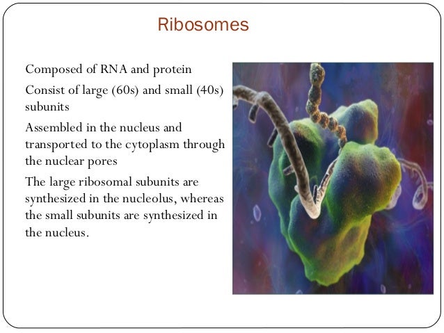 cytology